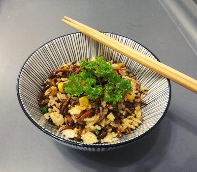 Attempt your own Mealworm Fried Rice with everyday ingredients